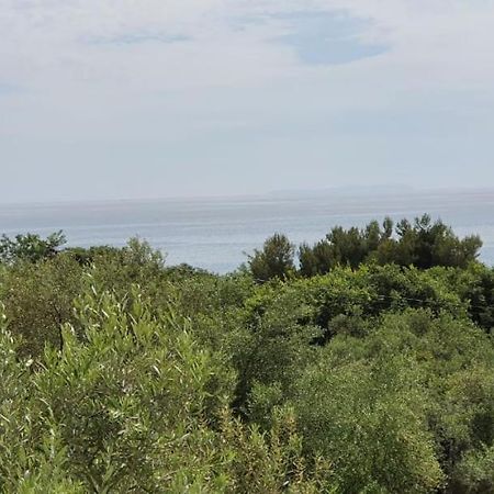 Seaview Apartment Borş Dış mekan fotoğraf