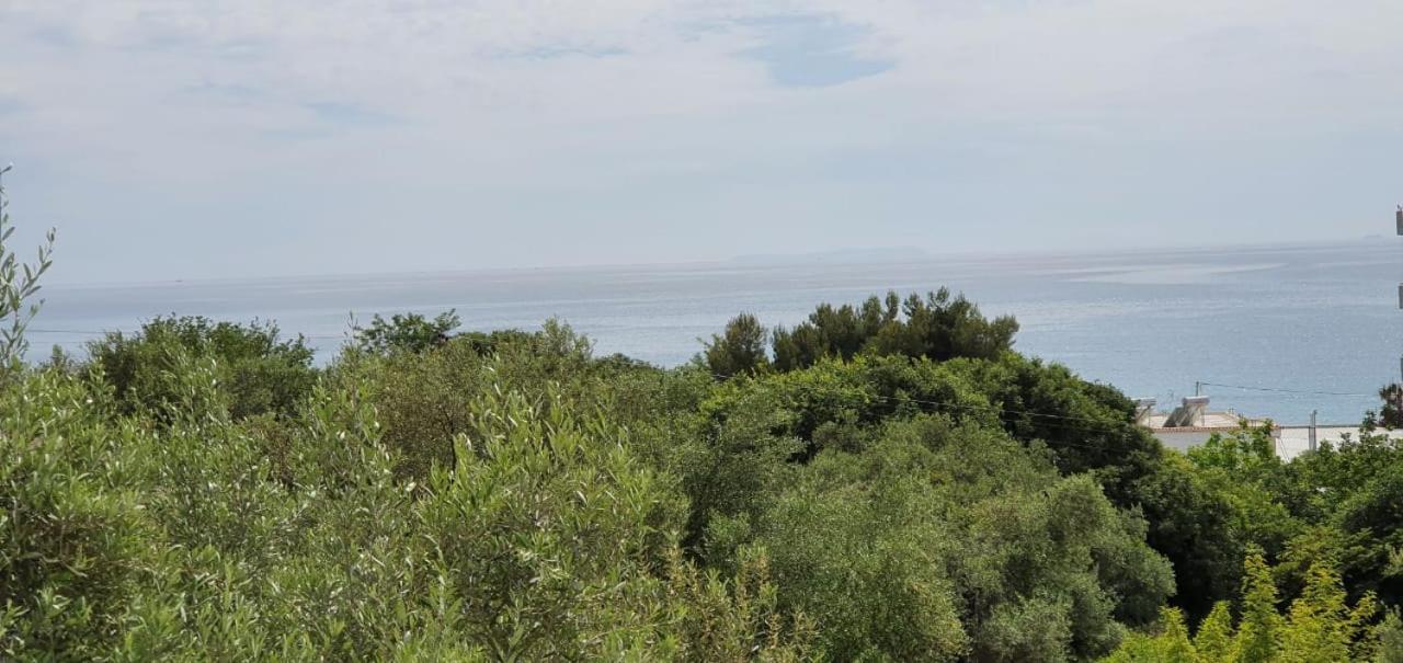 Seaview Apartment Borş Dış mekan fotoğraf