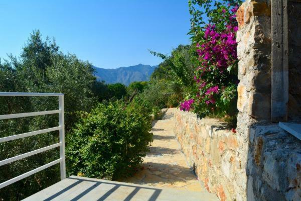Seaview Apartment Borş Dış mekan fotoğraf